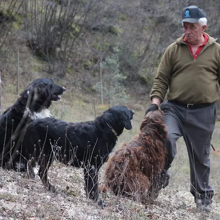 La Pintura Треви